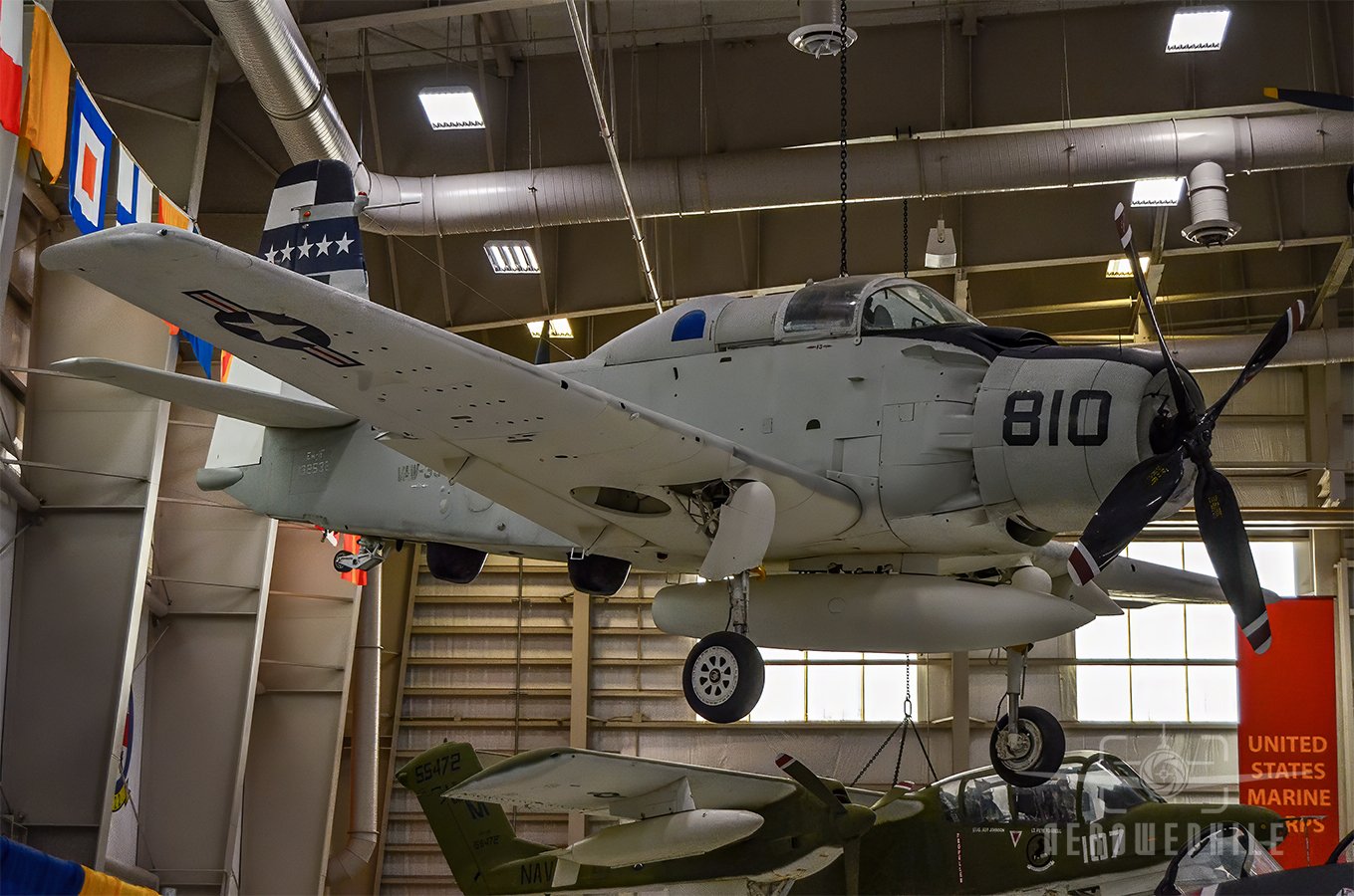 Douglas EA-1F Skyraider – VAW-33 Squadron