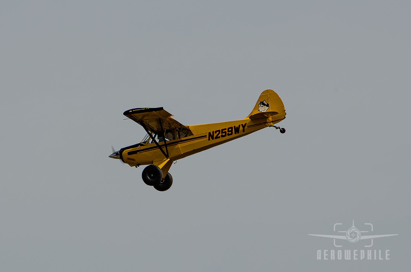 DSC_0583Z.jpg