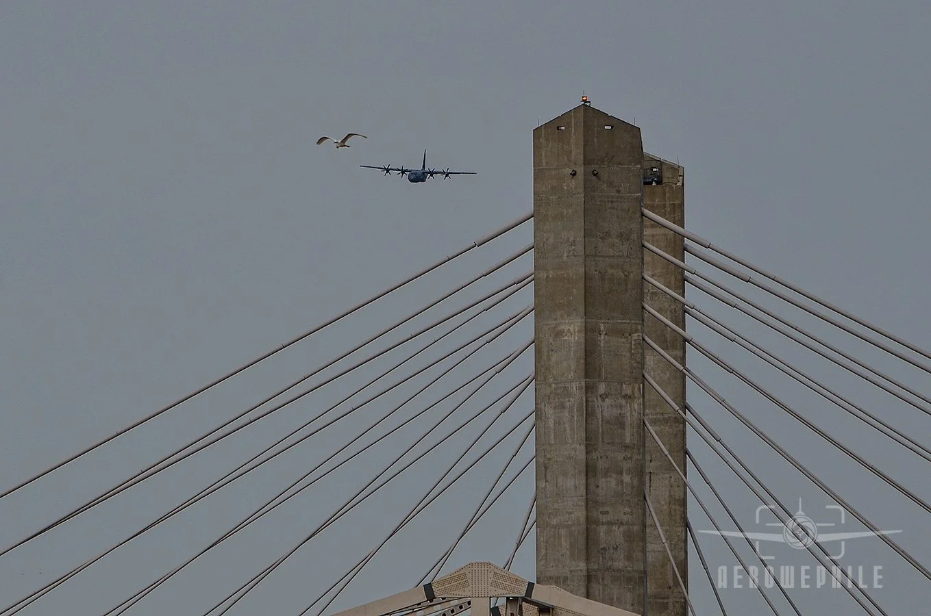 C-130 Hercules, a Bird, and a Bridge.
