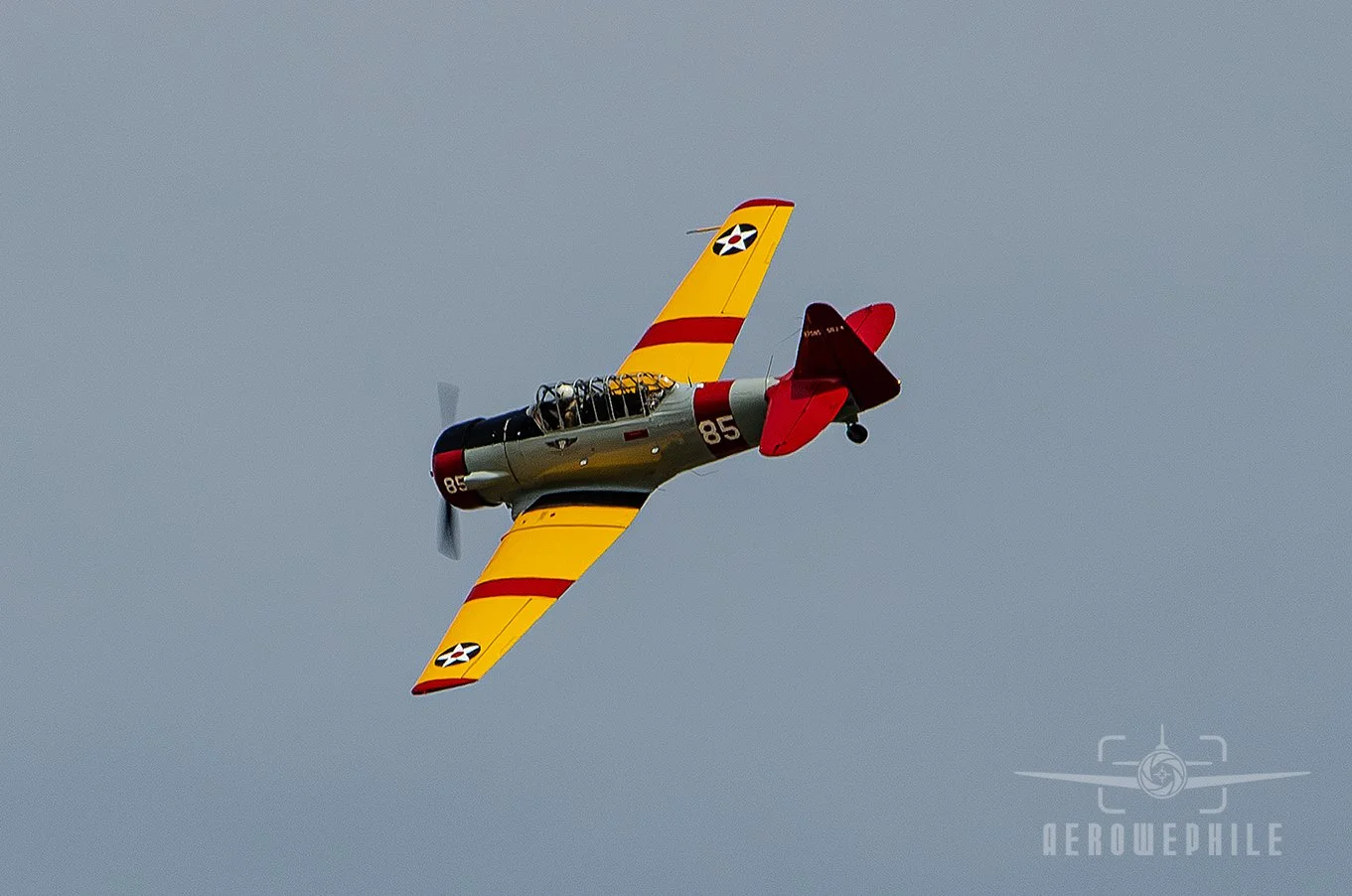 DSC_0464Z.jpg