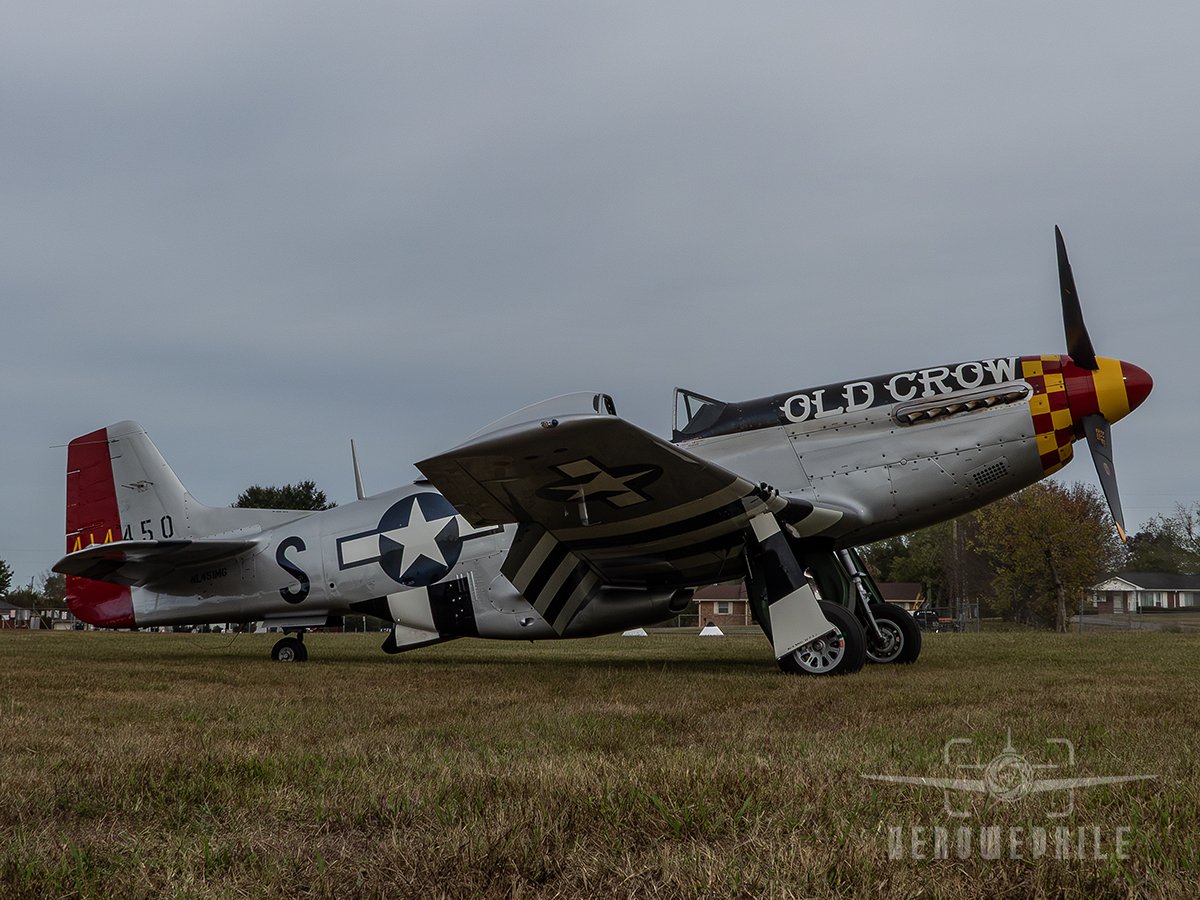 P1410217Z.jpg