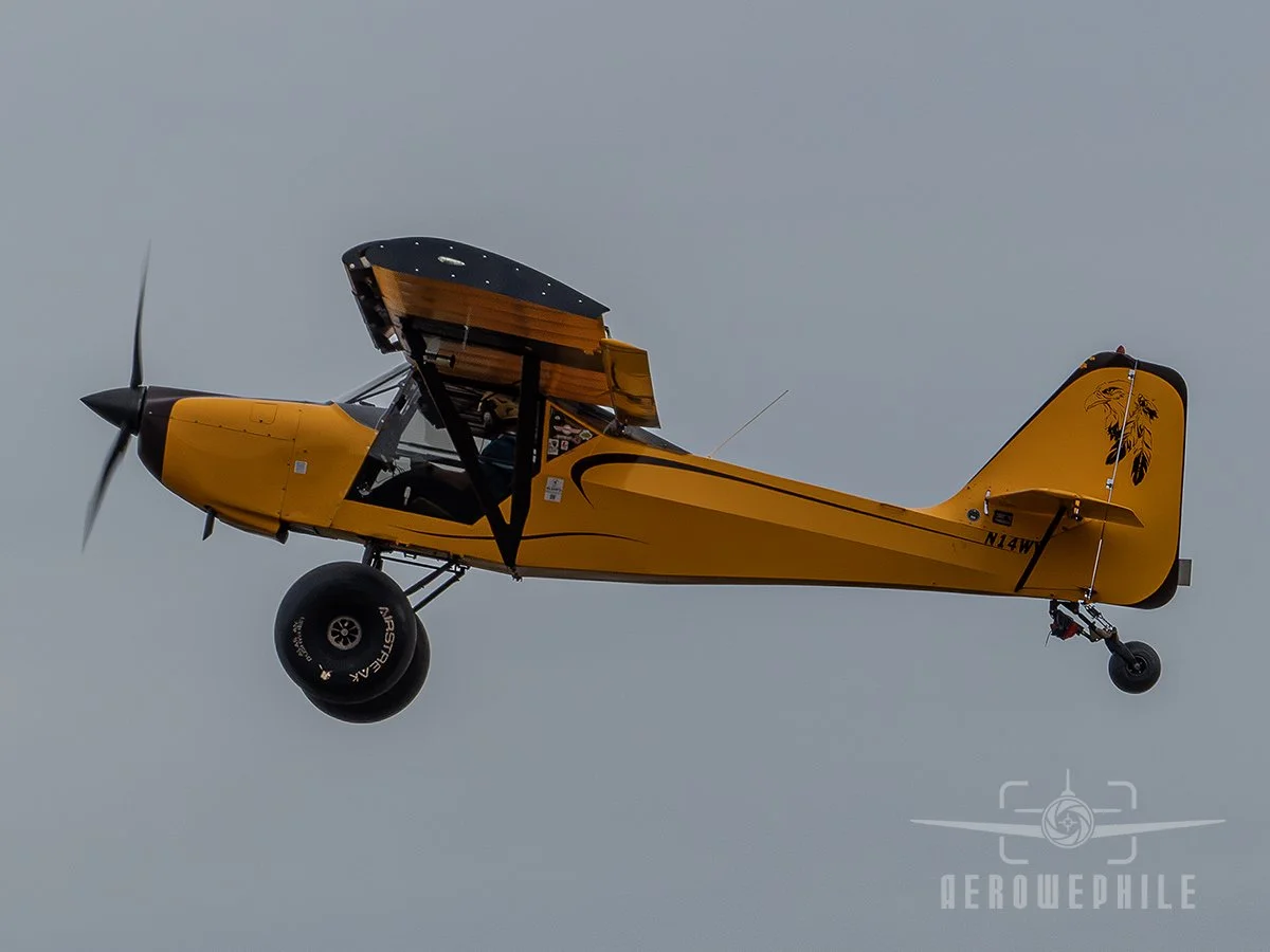 P1410183Z.jpg
