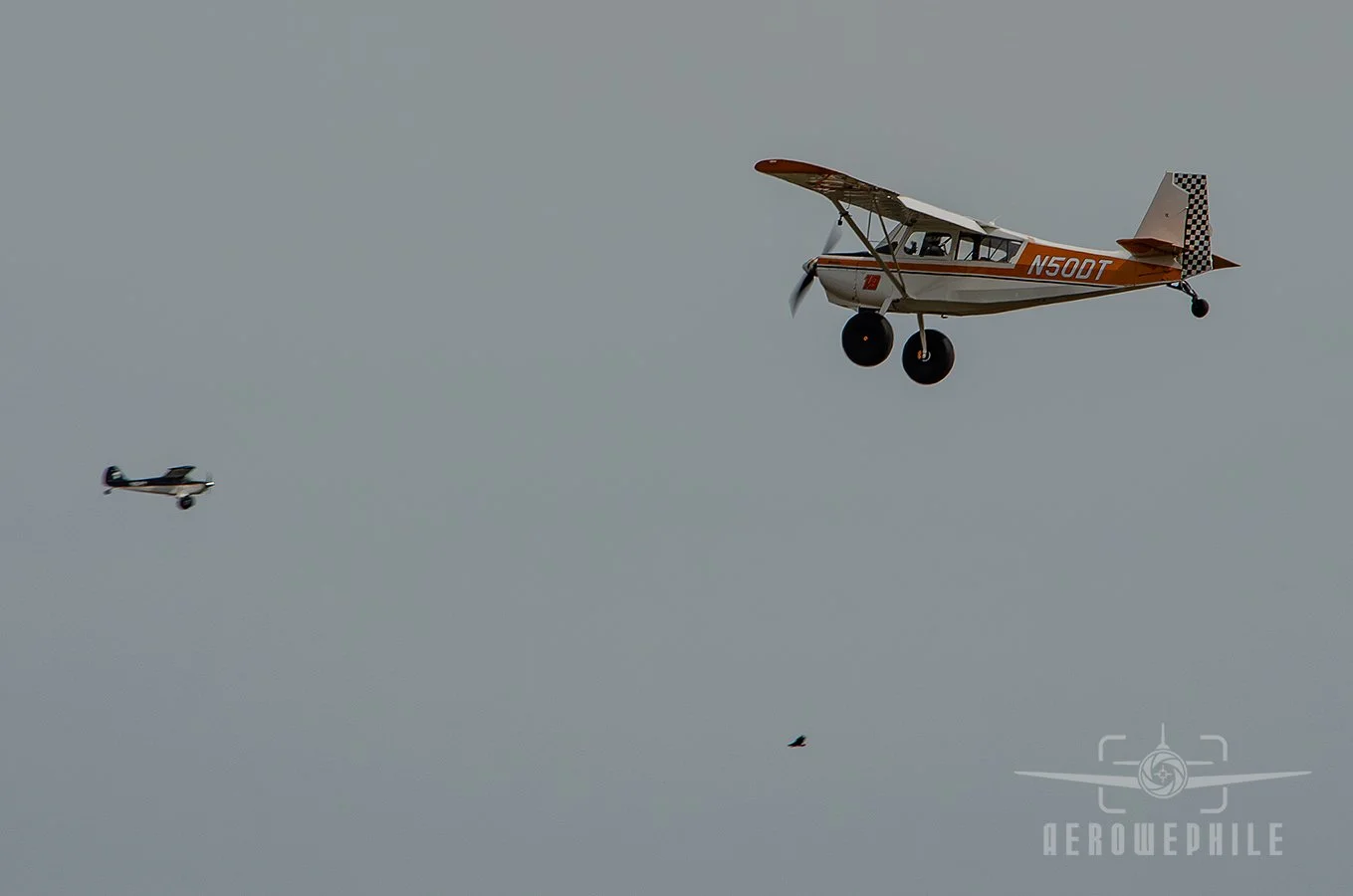 DSC_0357Z.jpg
