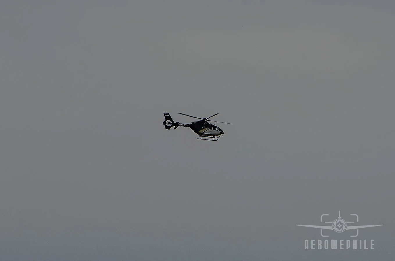 DSC_0433Z.jpg