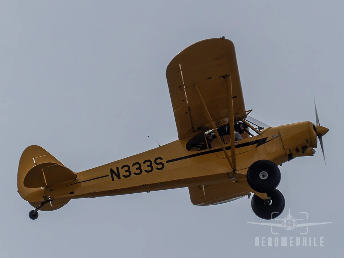 P1410176Z.jpg