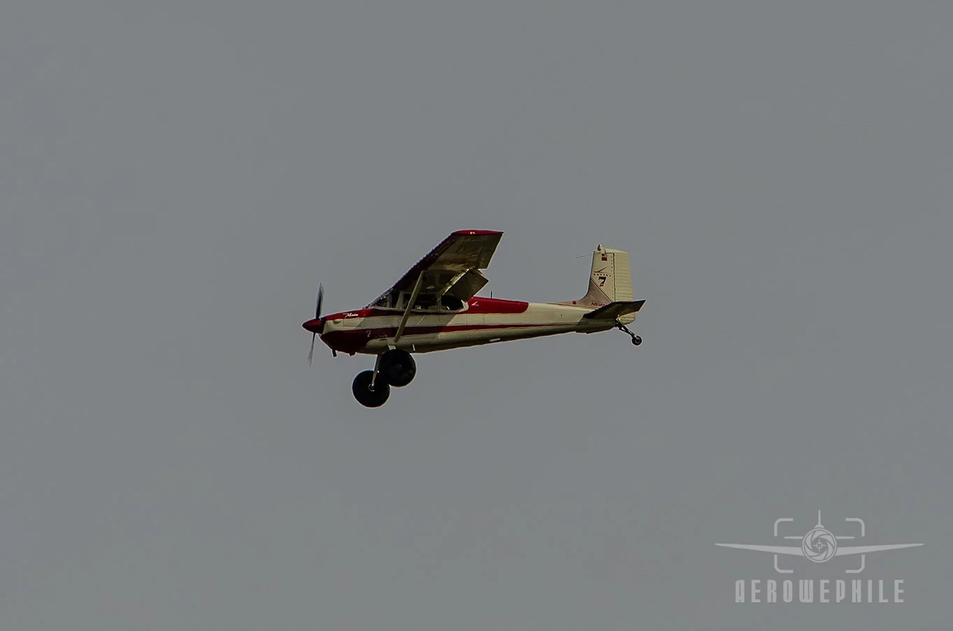 DSC_0522Z.jpg
