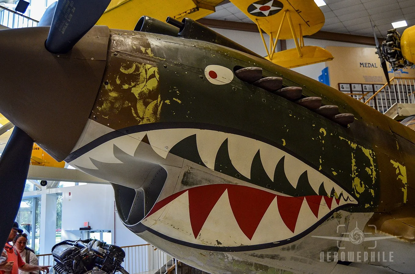 The distinctive "Shark's Mouth" painted on the Flying Tigers P-40B Tomahawks.