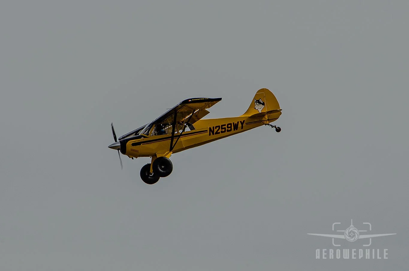 DSC_0371Z.jpg