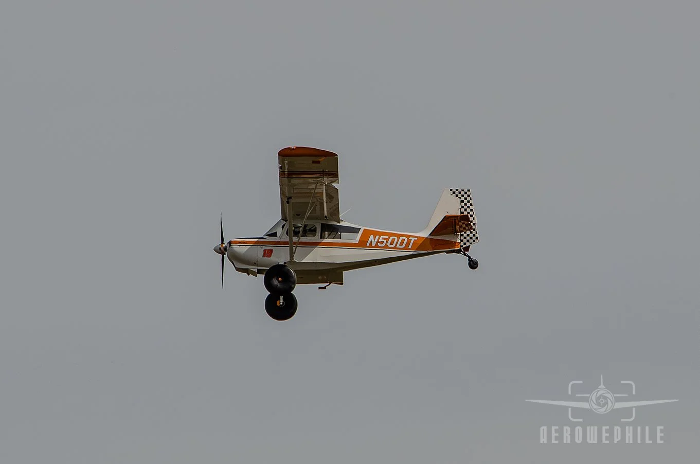 DSC_0661Z.jpg