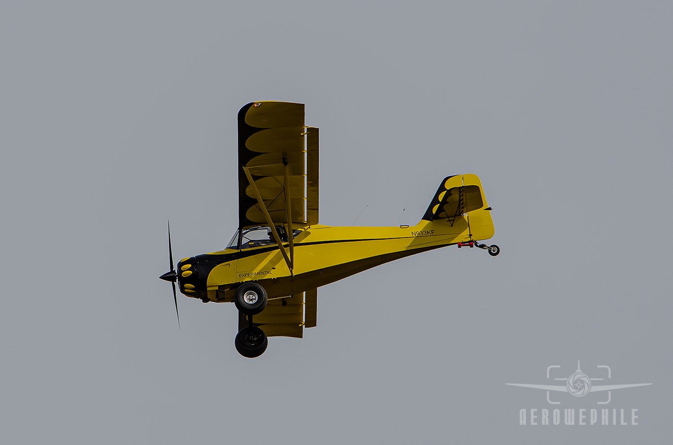 DSC_0179Z.jpg