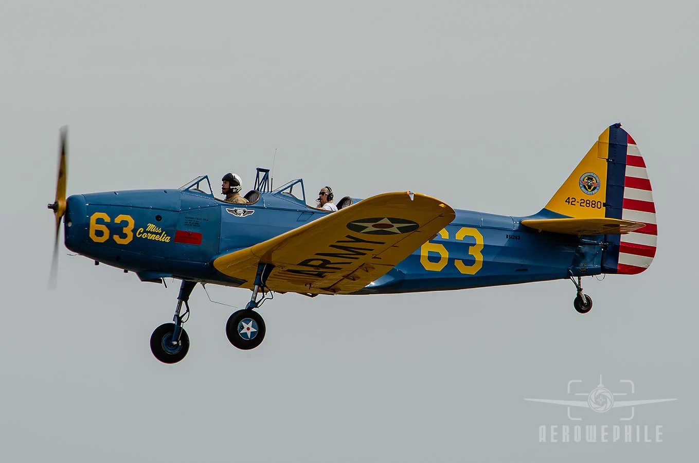 DSC_0921Z.jpg