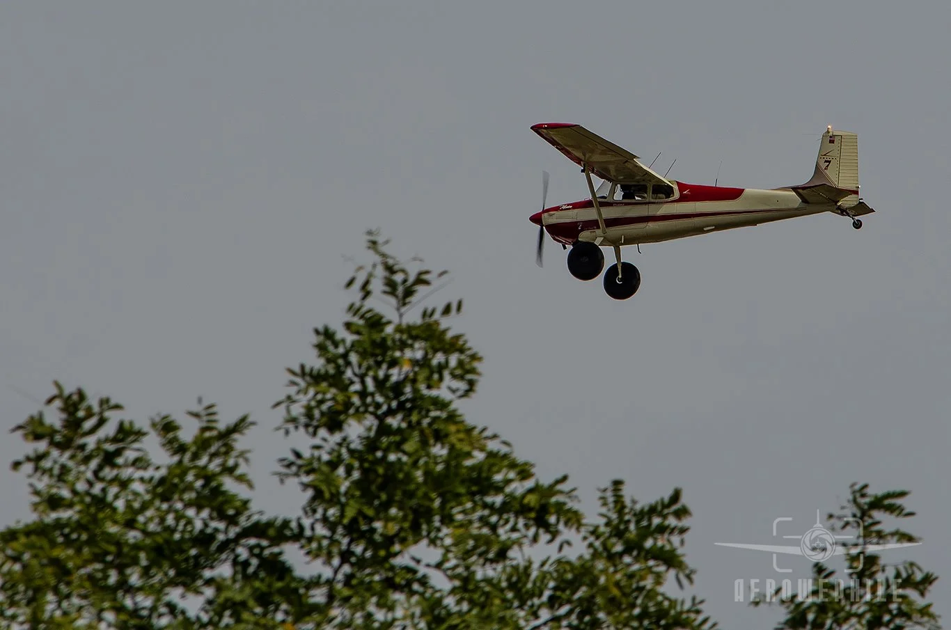DSC_0327Z.jpg