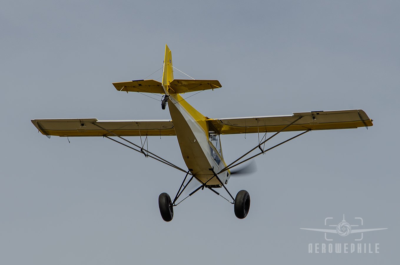 DSC_0879Z.jpg