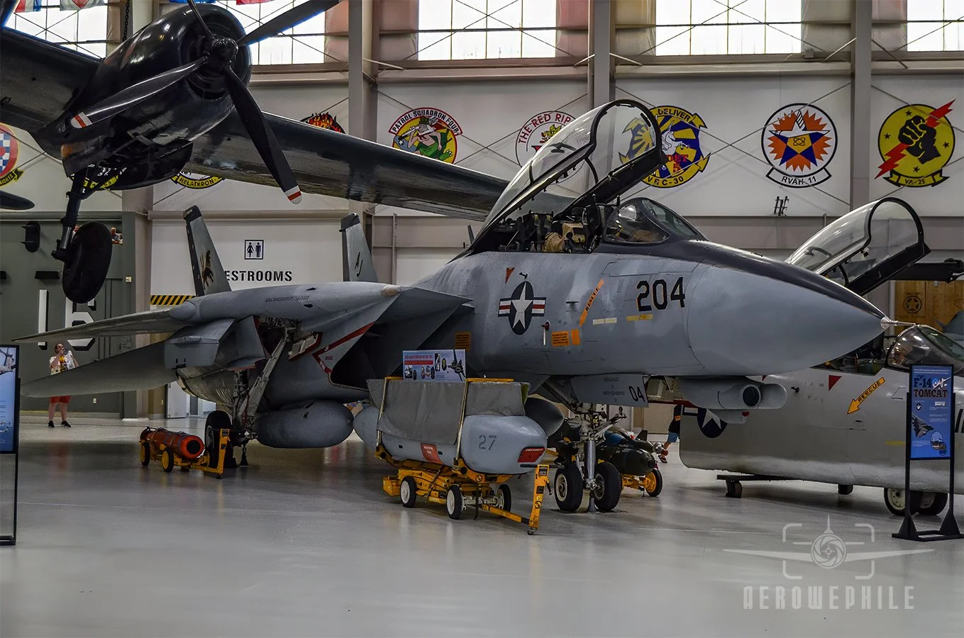 Grumman F-14D(R) Tomcat