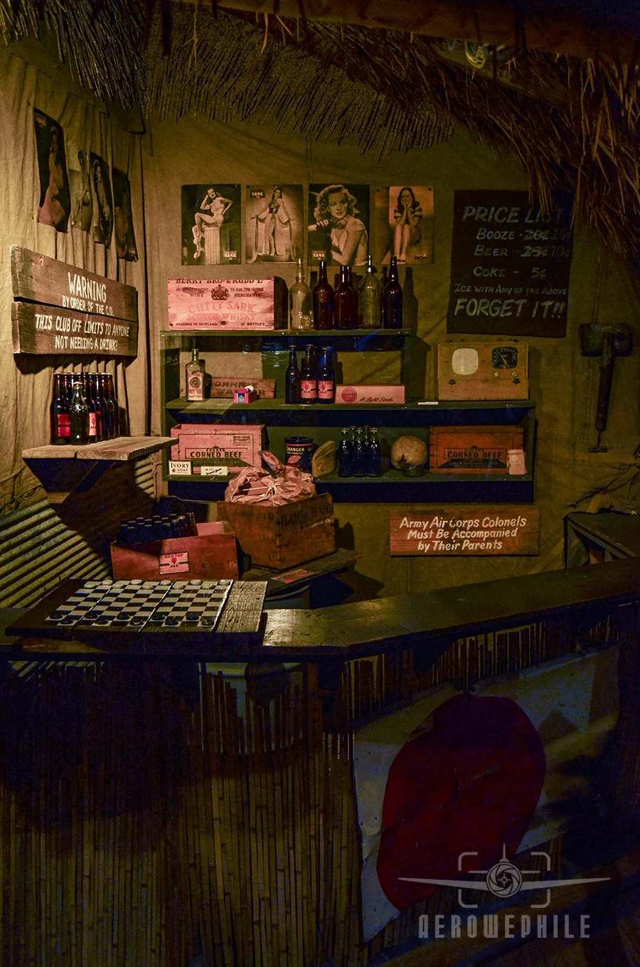 South Pacific Island Display