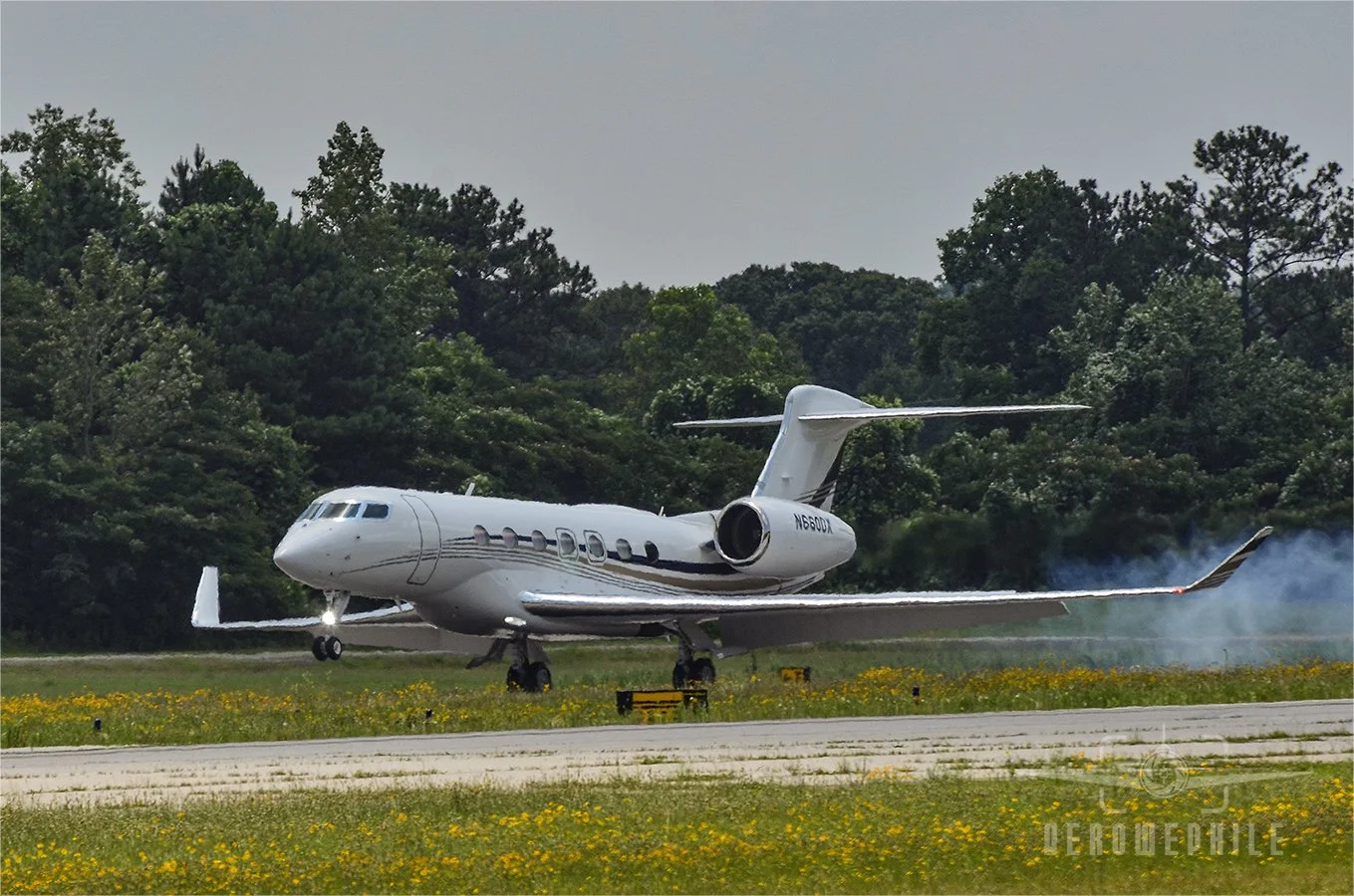 Gulfstream G600 smoking the tires at landing.