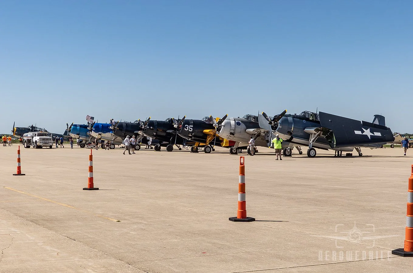 TBM Gathering - All the pretty birds lined up in a row.