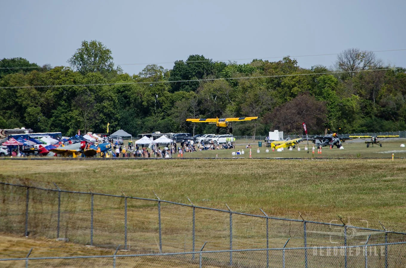 DSC_0162Z.jpg