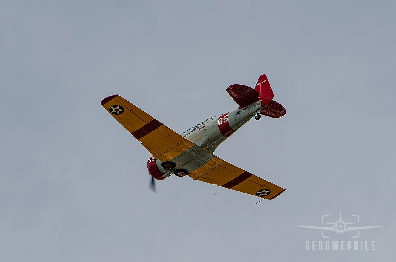 DSC_0457Z.jpg