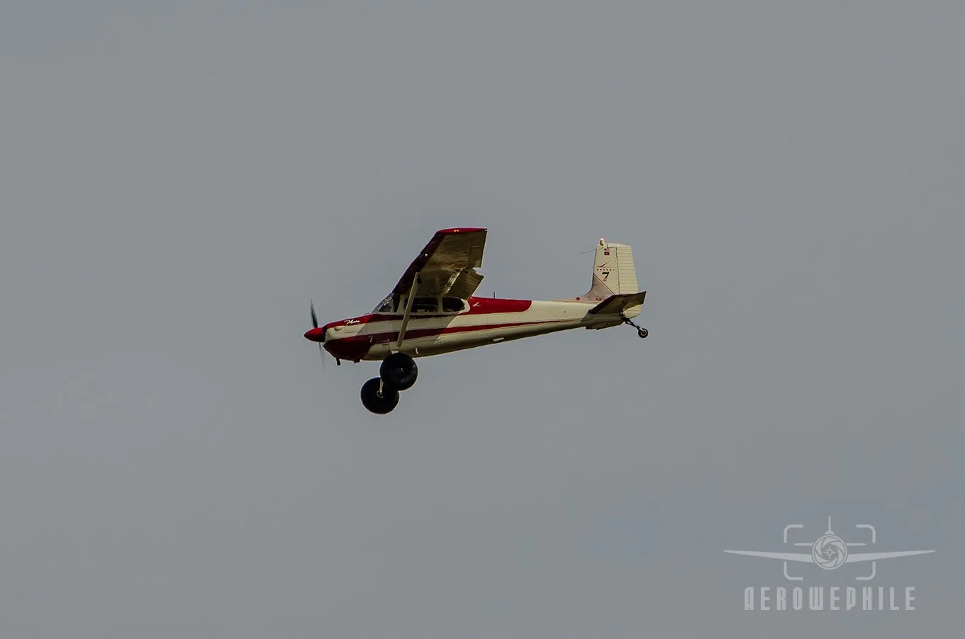 DSC_0635Z.jpg