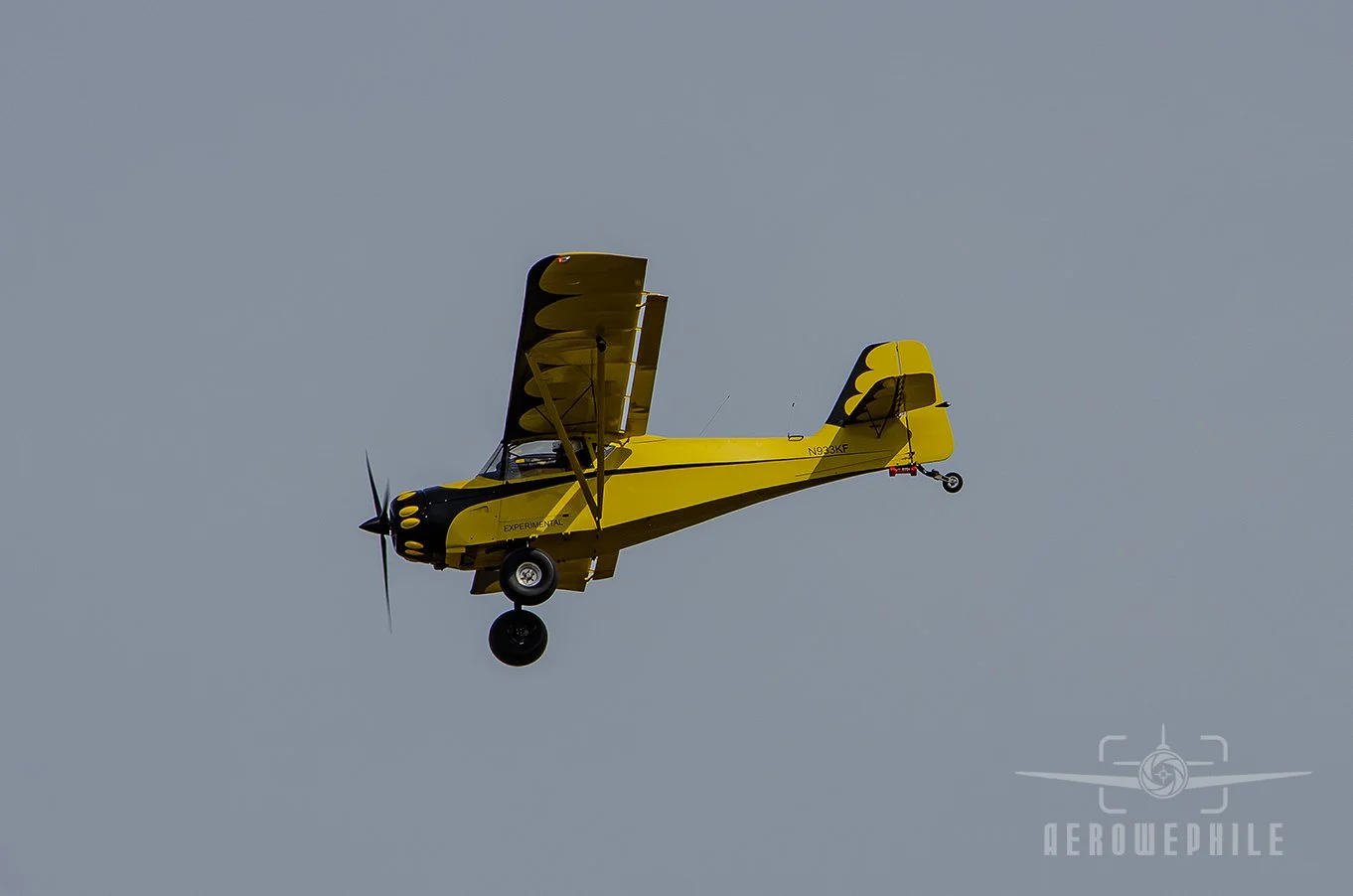 DSC_0116Z.jpg