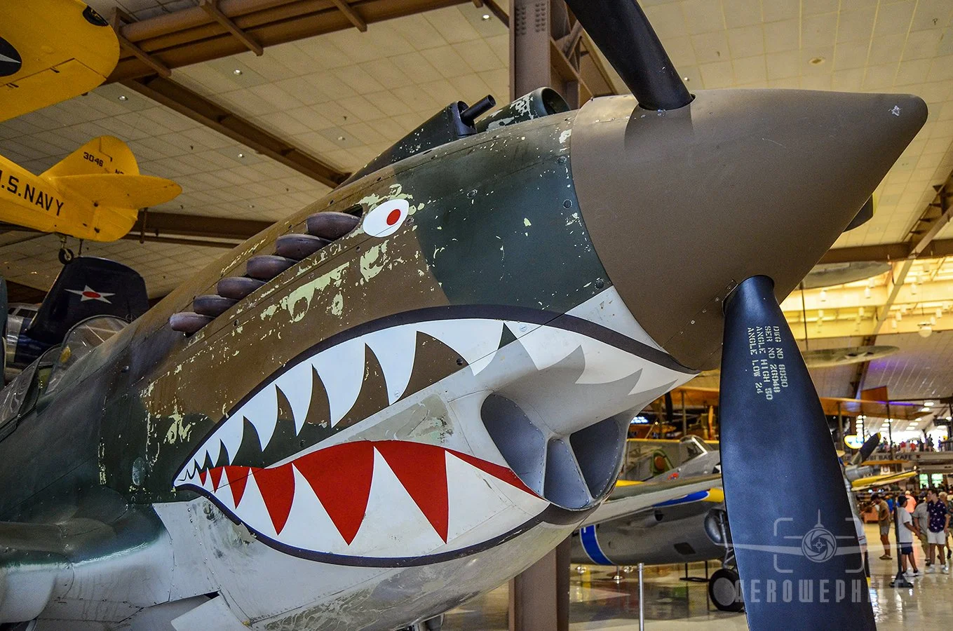 The distinctive "Shark's Mouth" painted on the Flying Tigers P-40B Tomahawks.