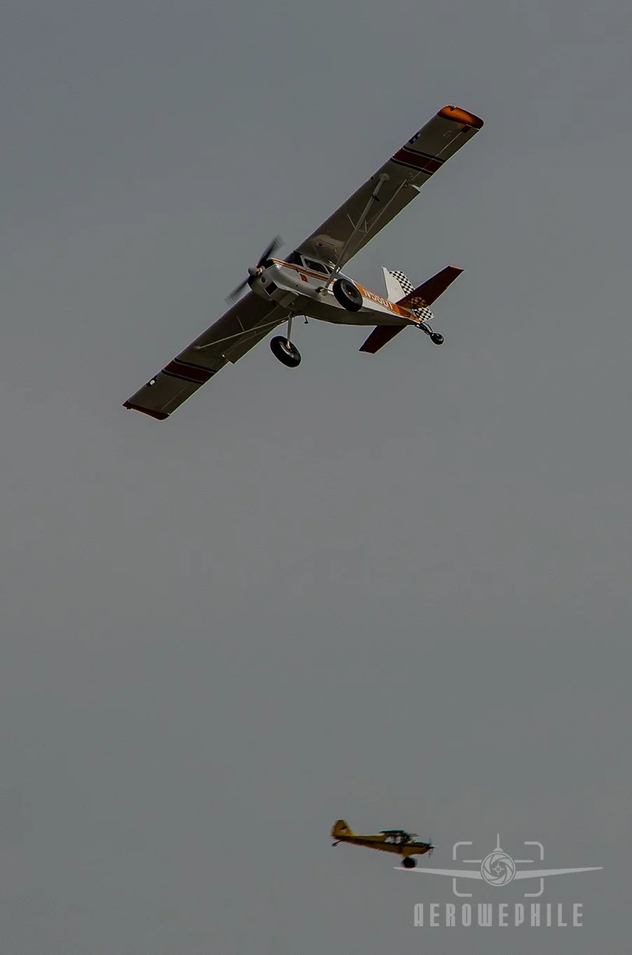 DSC_0543Z.jpg