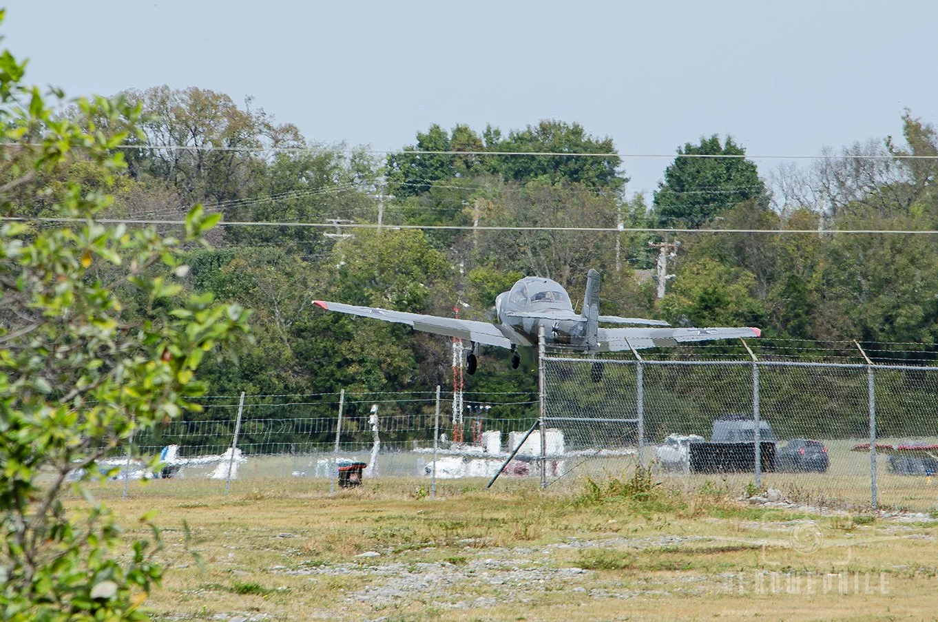 DSC_0050Z.jpg