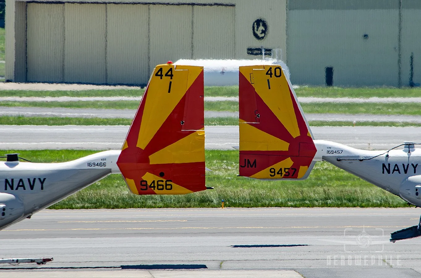 Colorful tail next to colorful tail.
04Jun26