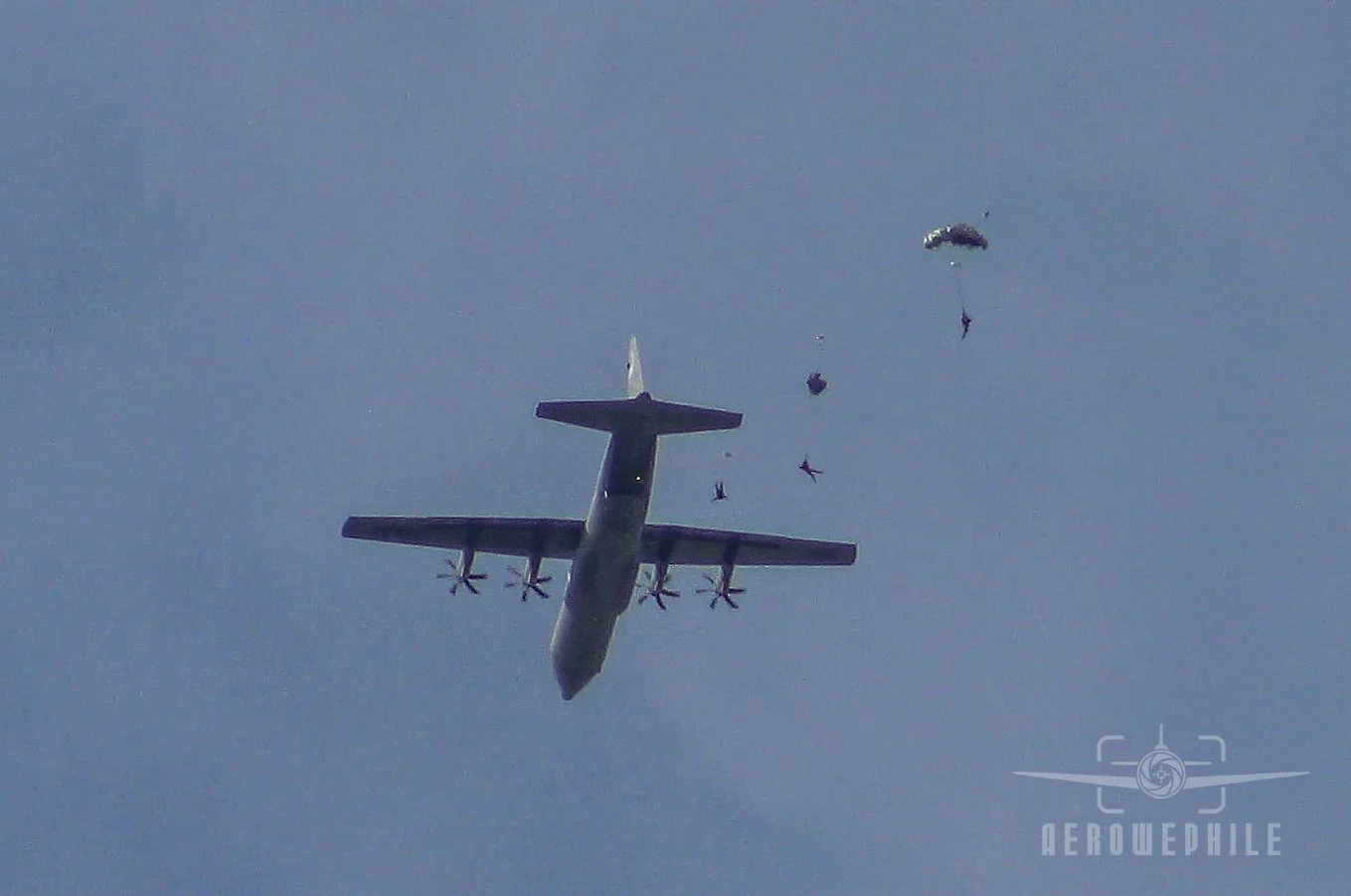 C-130 Hercules dropping the 123rd Special Tactics Squadron Parachute Team (KY ANG, Louisville, KY).