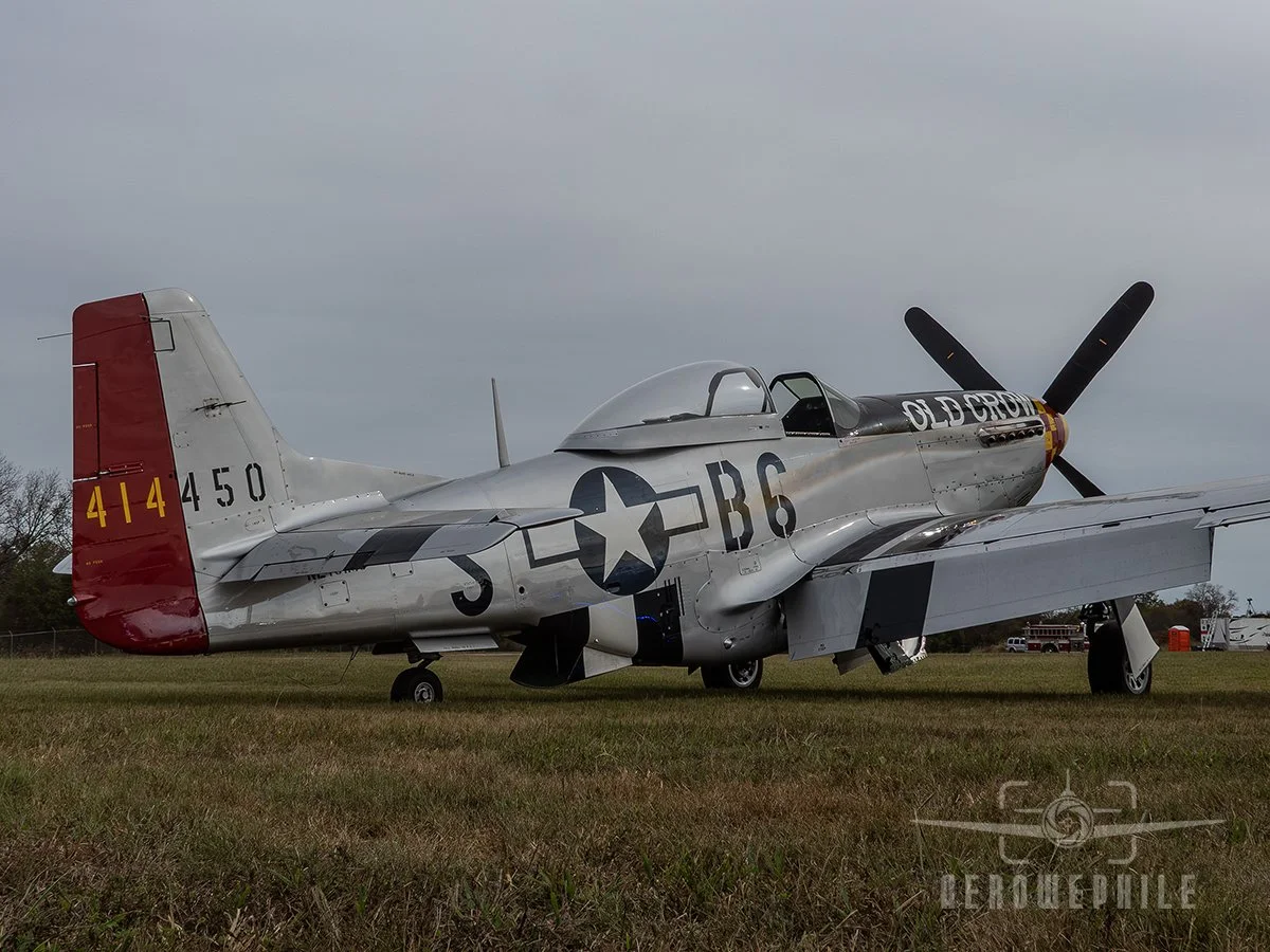 P1410242Z.jpg