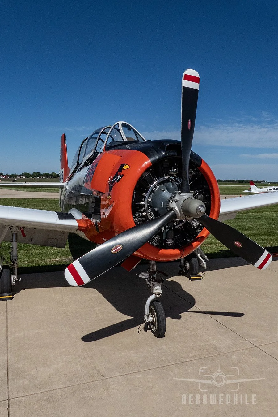 North American T-28B Trojan
