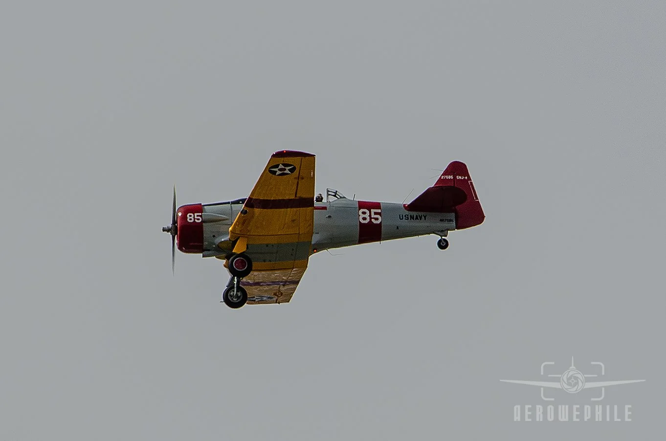 DSC_0485Z.jpg