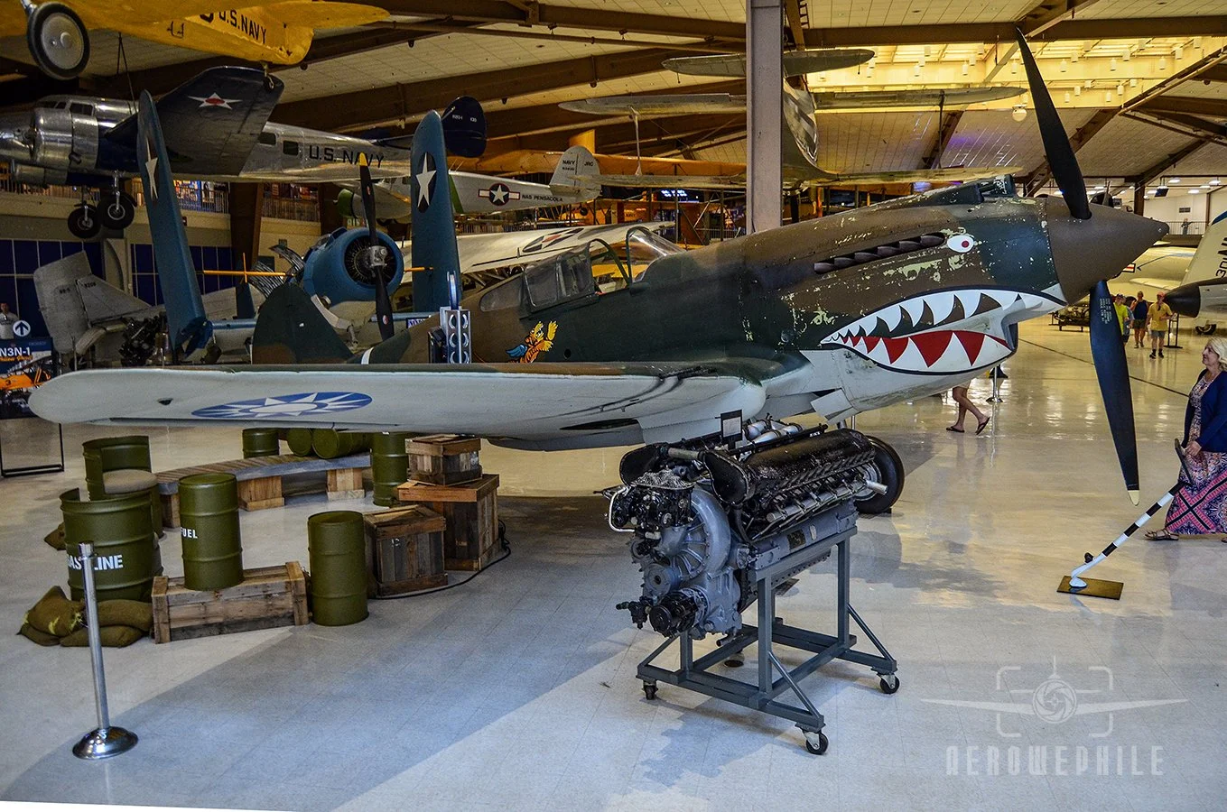 Another former Naval Aviator who served in the AVG, James H. Howard, eventually became an Army Air Forces pilot and received the Medal of Honor for actions over Europe in 1944. From 20 December 1941 to 4 July 1942, the AVG downed 299 enemy aircraft, 