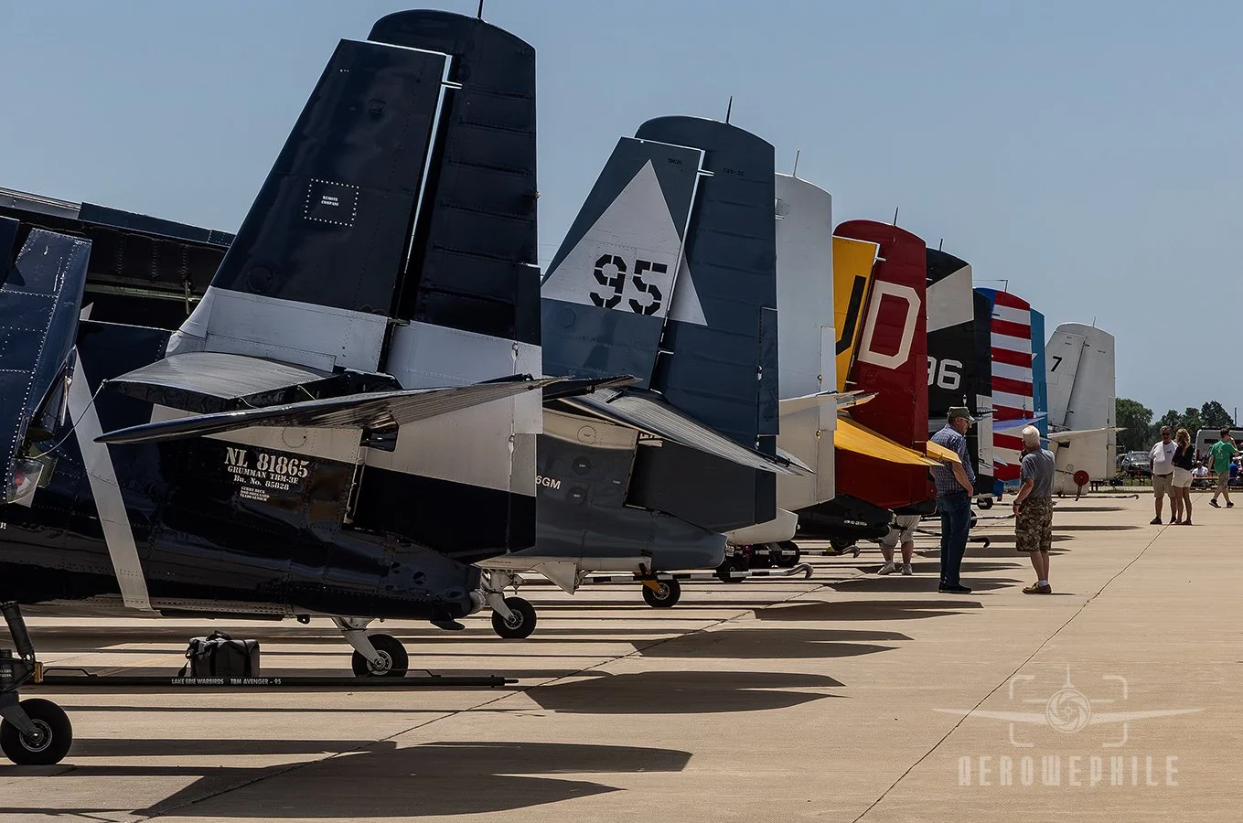 Did I mention all the Turkey Tails?!?