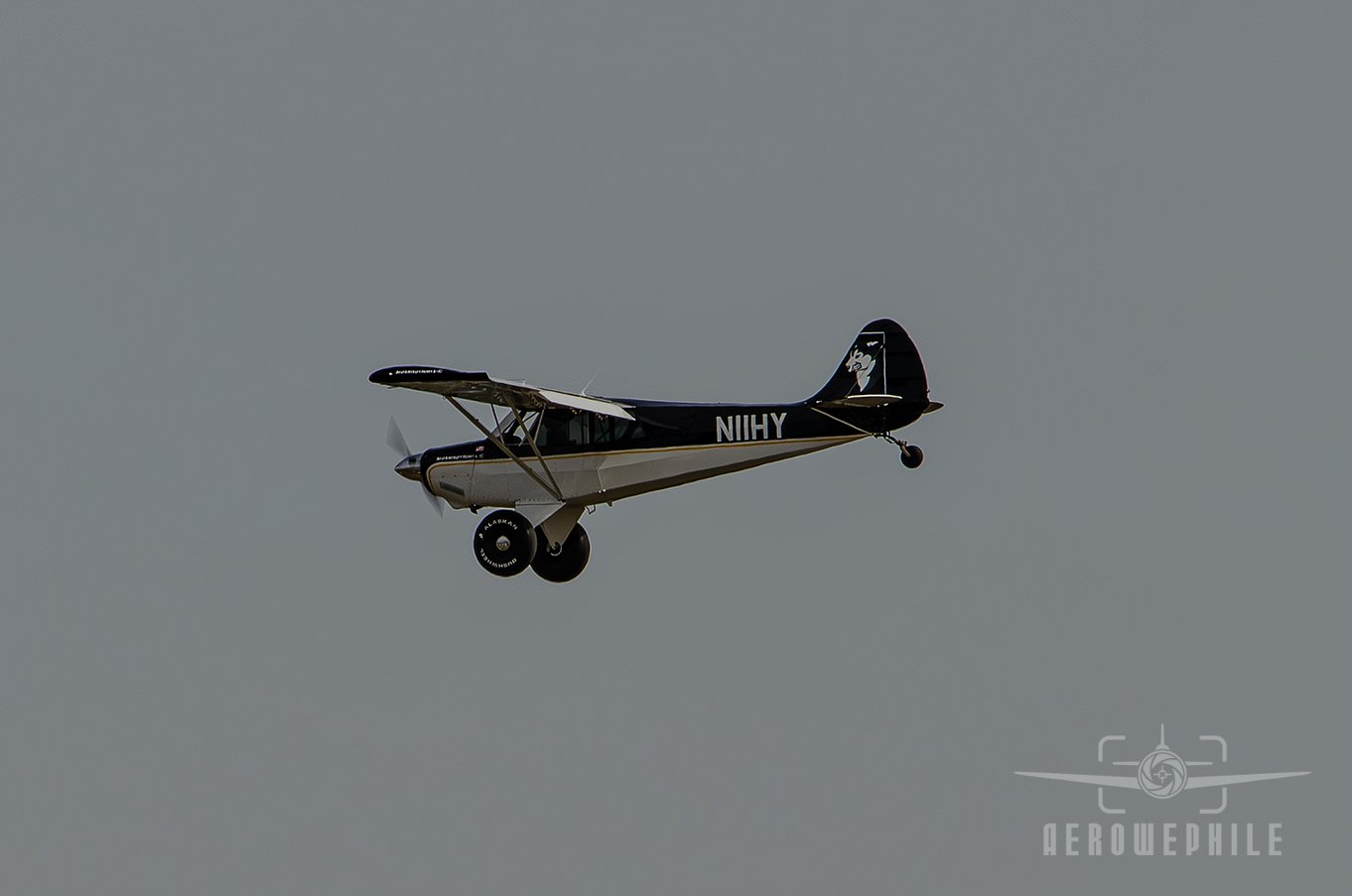 DSC_0705Z.jpg