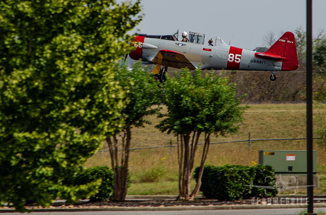 DSC_0509Z.jpg