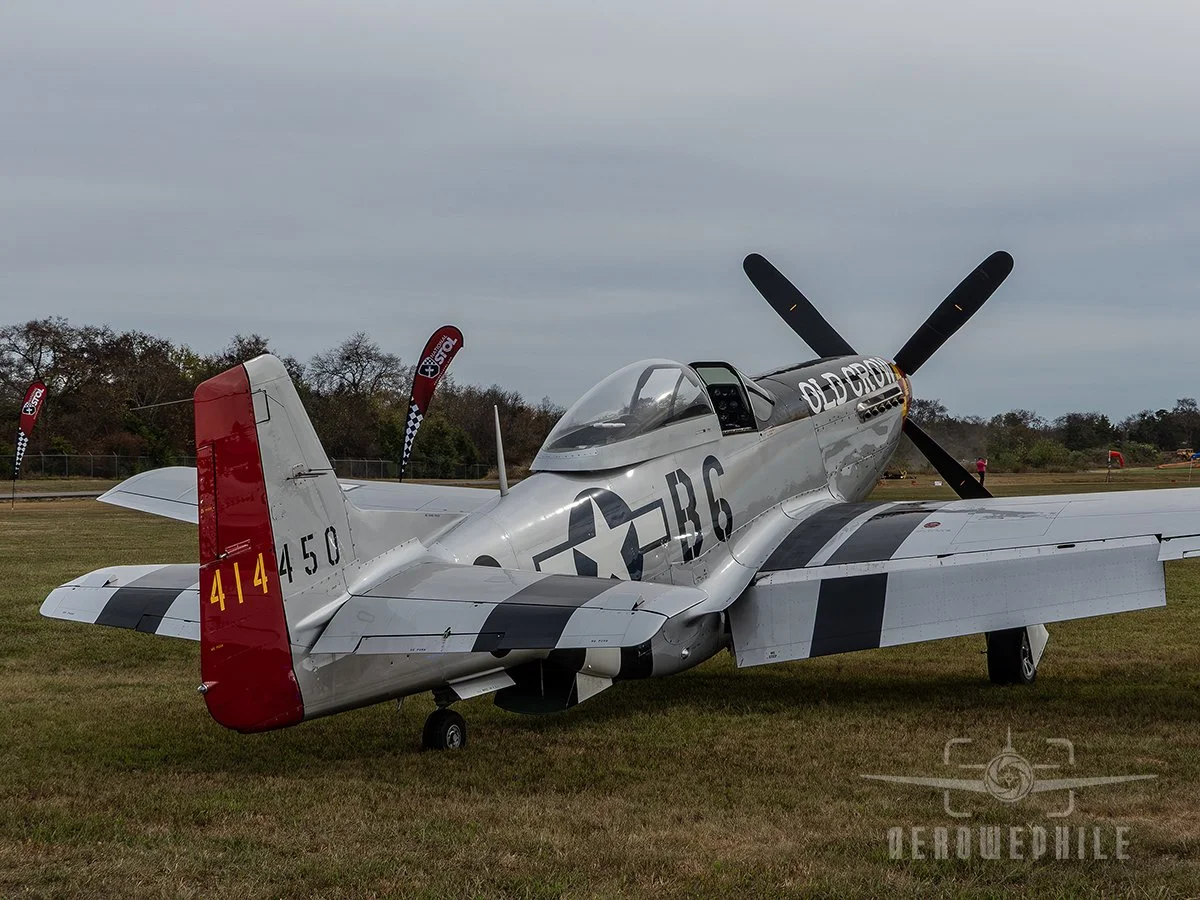 P1410233Z.jpg