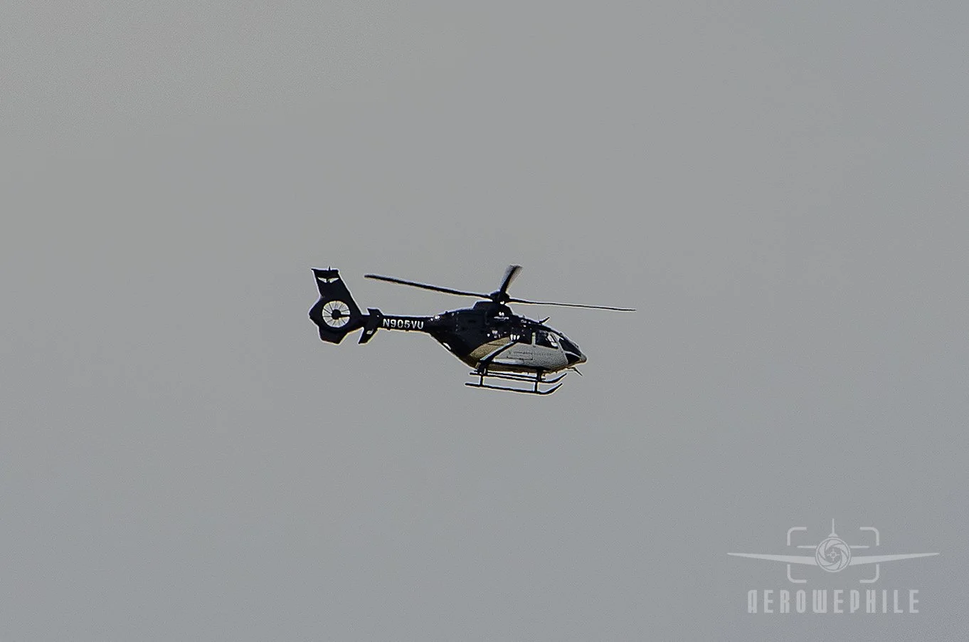DSC_0430Z.jpg