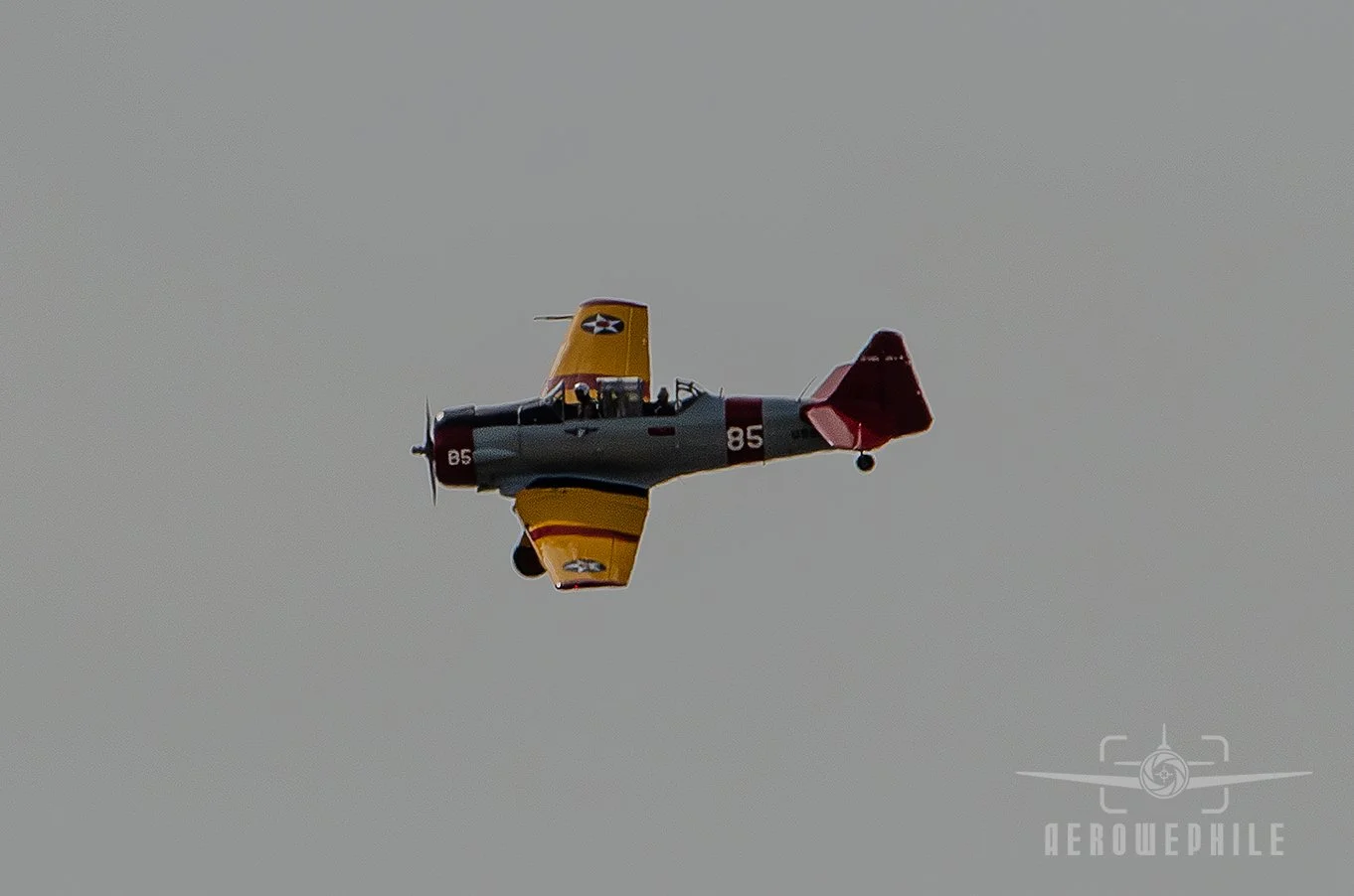 DSC_0499Z.jpg