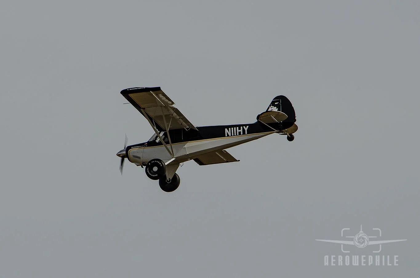 DSC_0614Z.jpg
