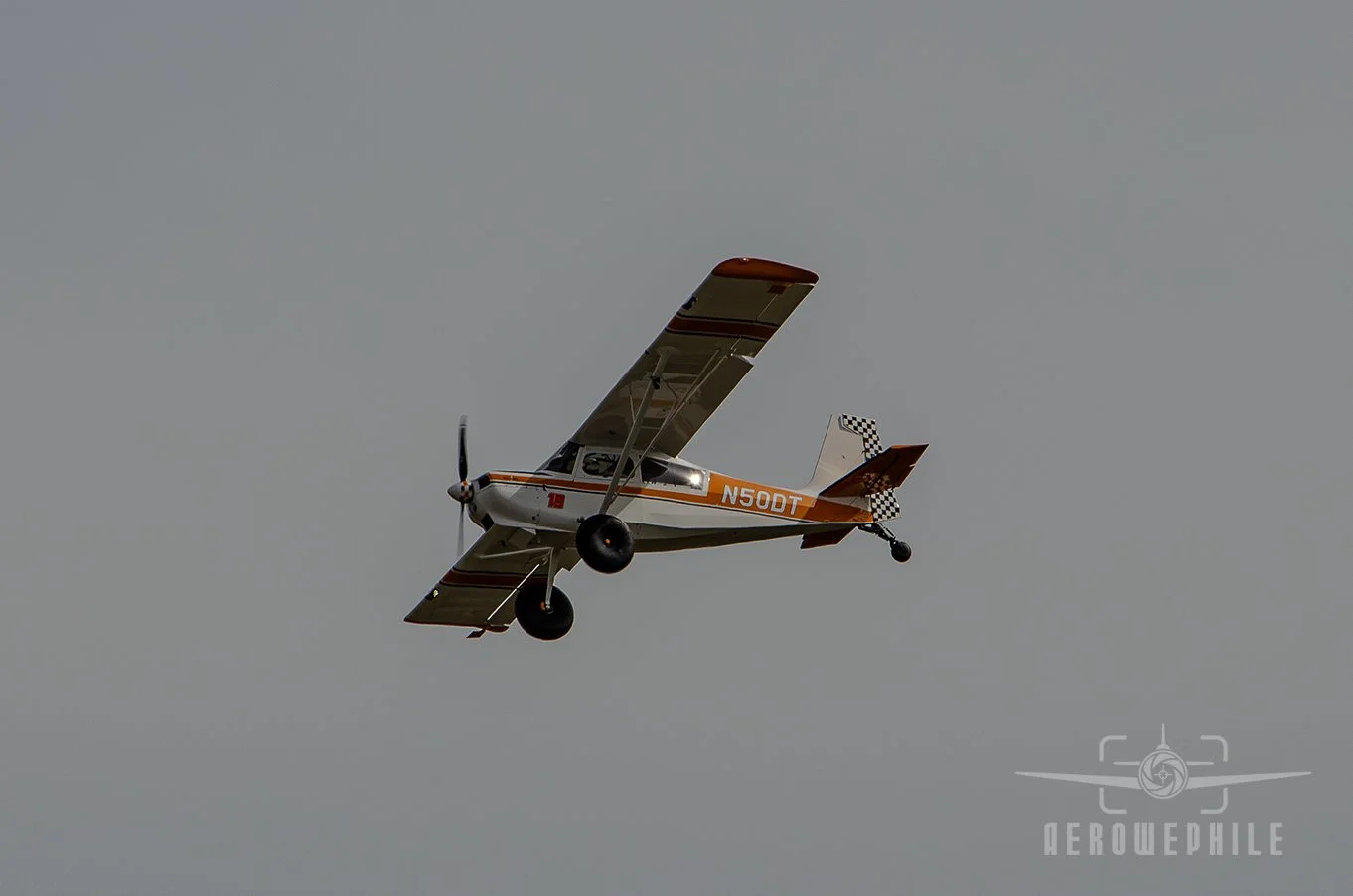 DSC_0340Z.jpg