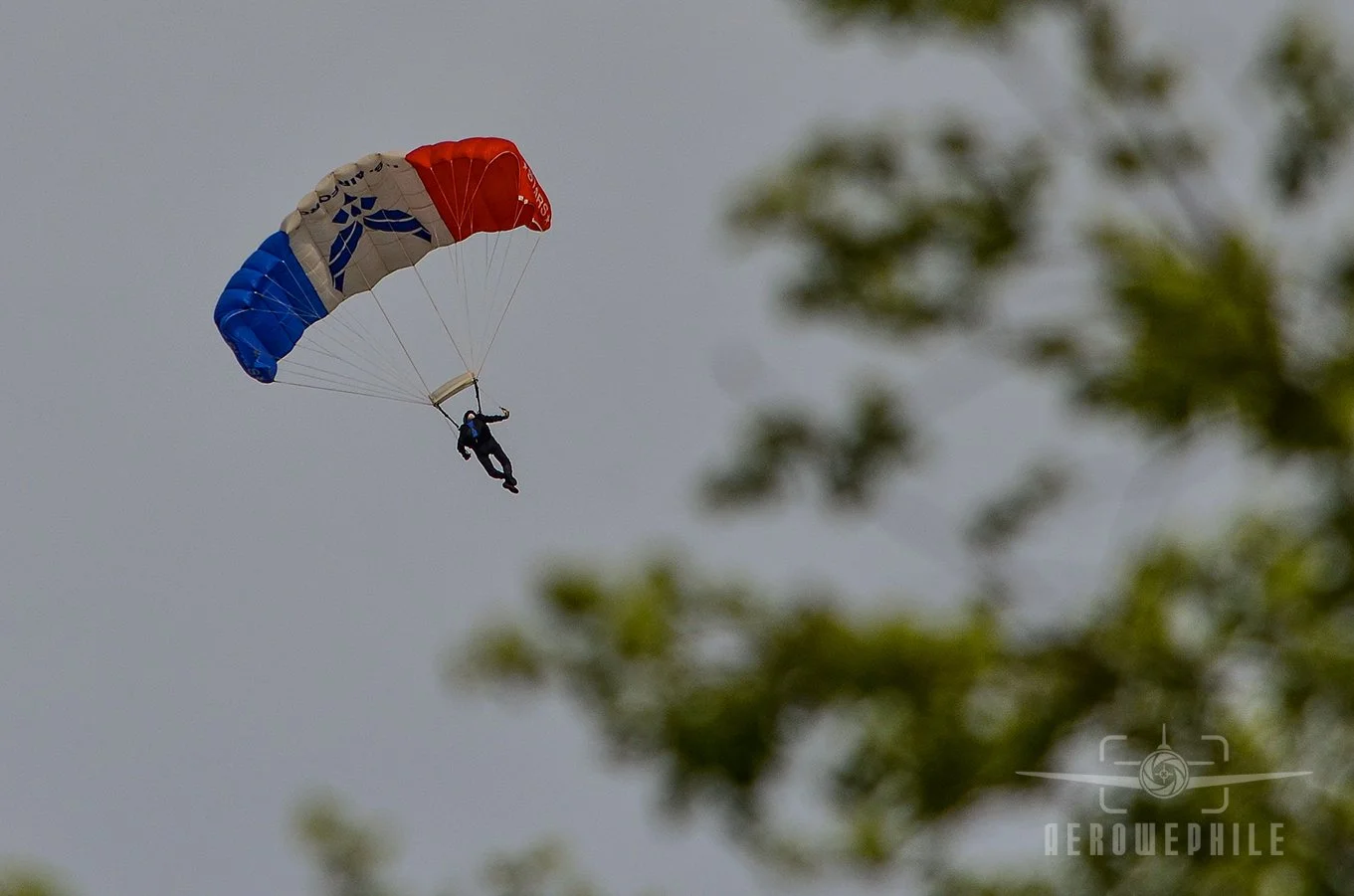 USAF "Wings of Blue" Parachute Team Member descending.