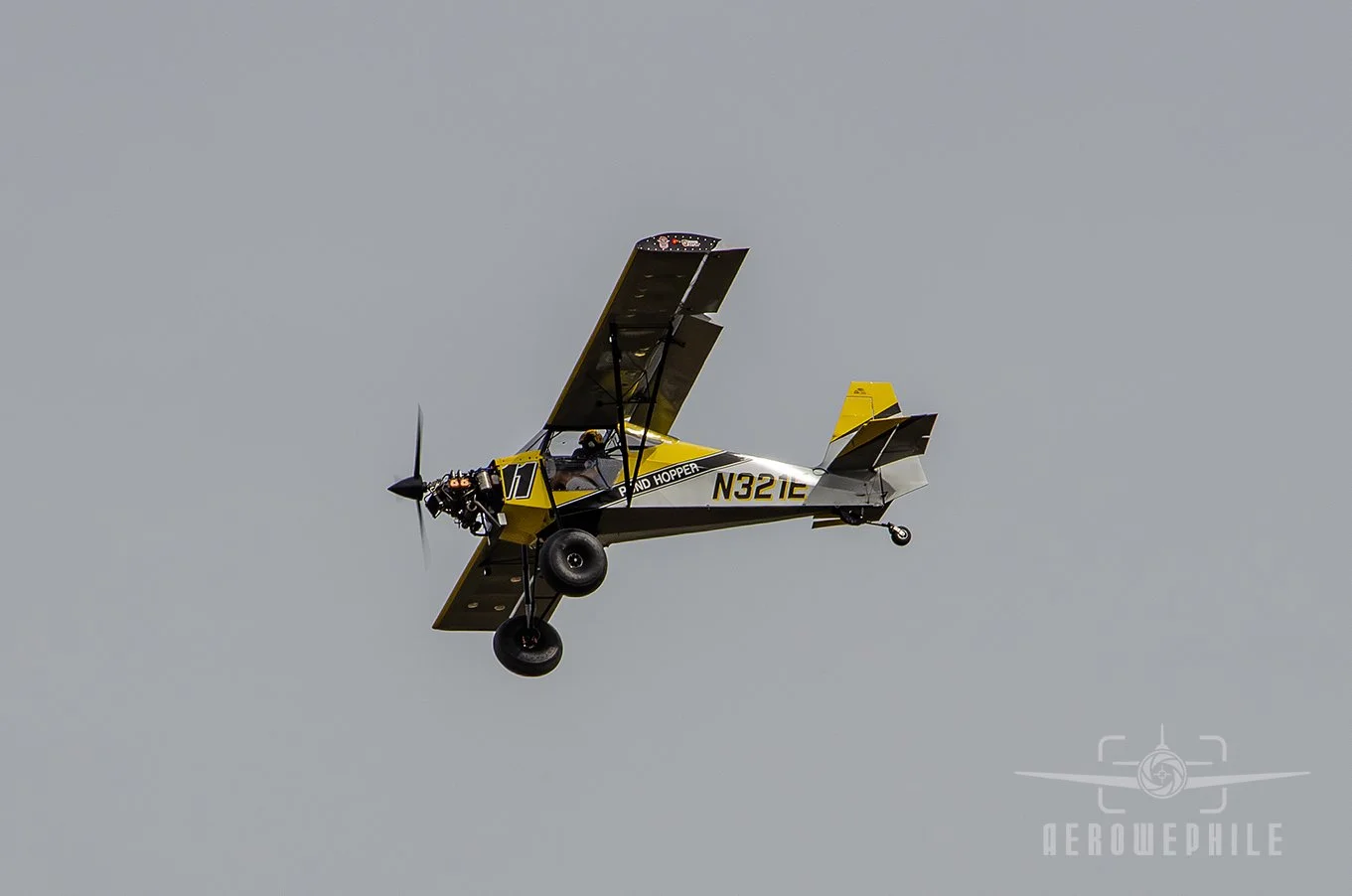 DSC_0819Z.jpg