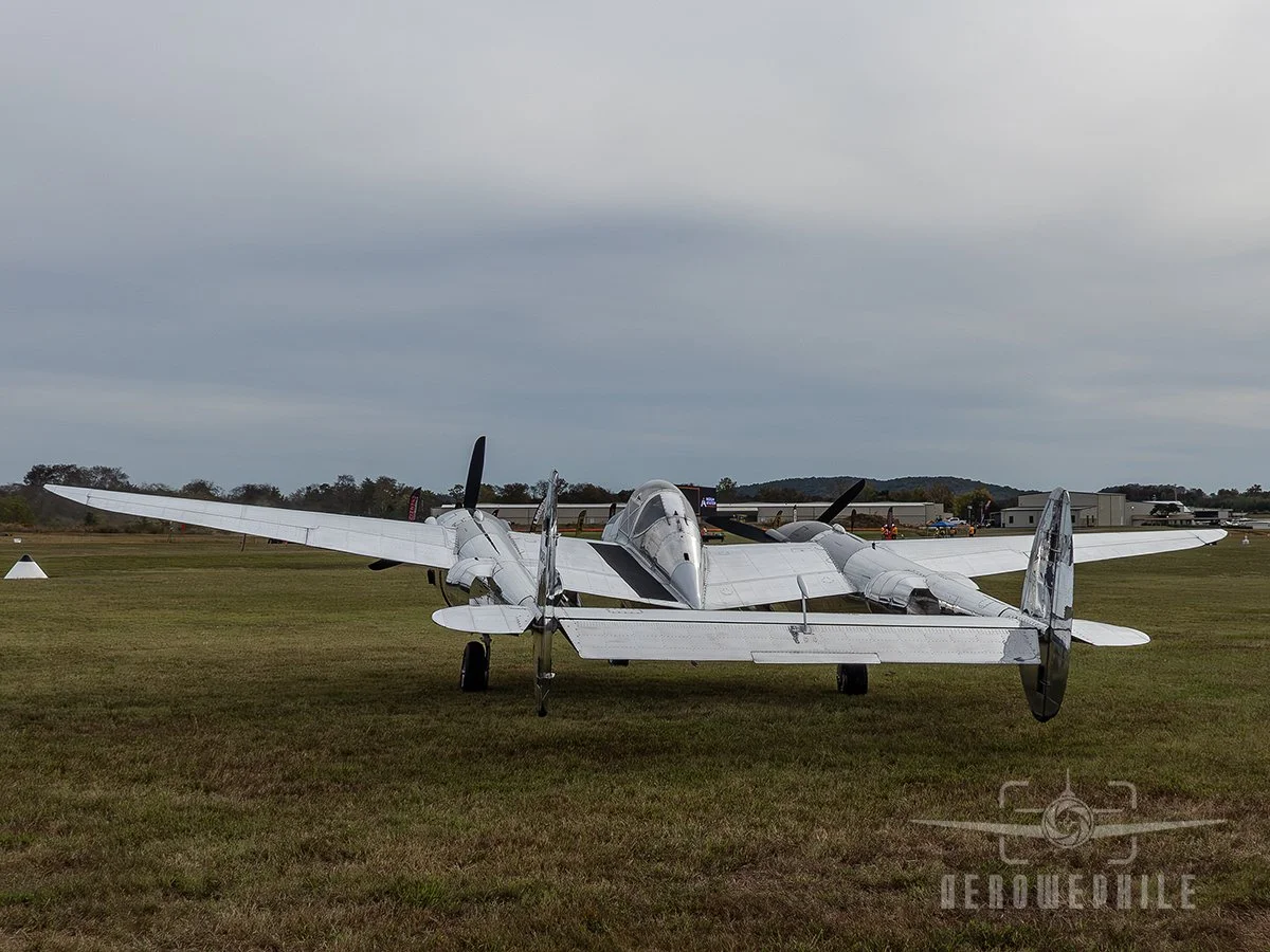 P1410251Z.jpg