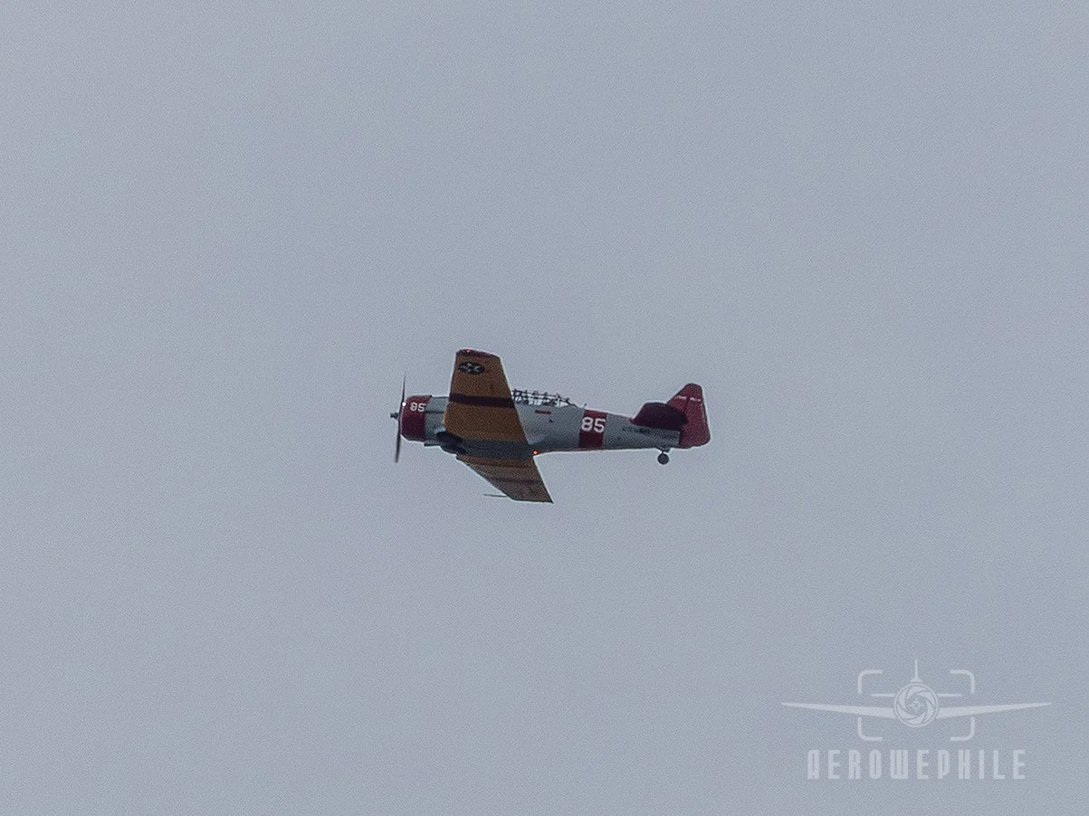 P1410164Z.jpg