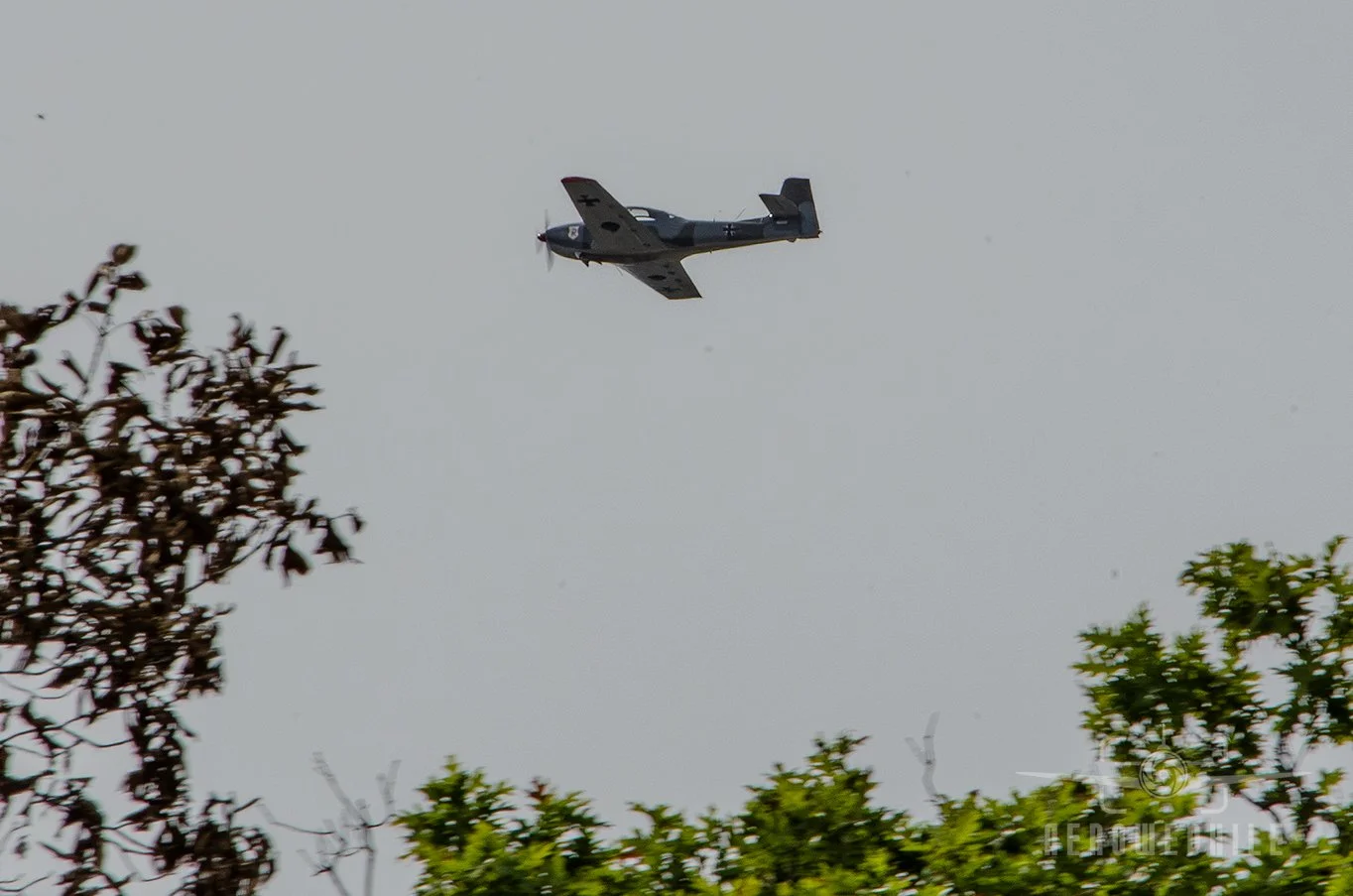 DSC_0058Z.jpg