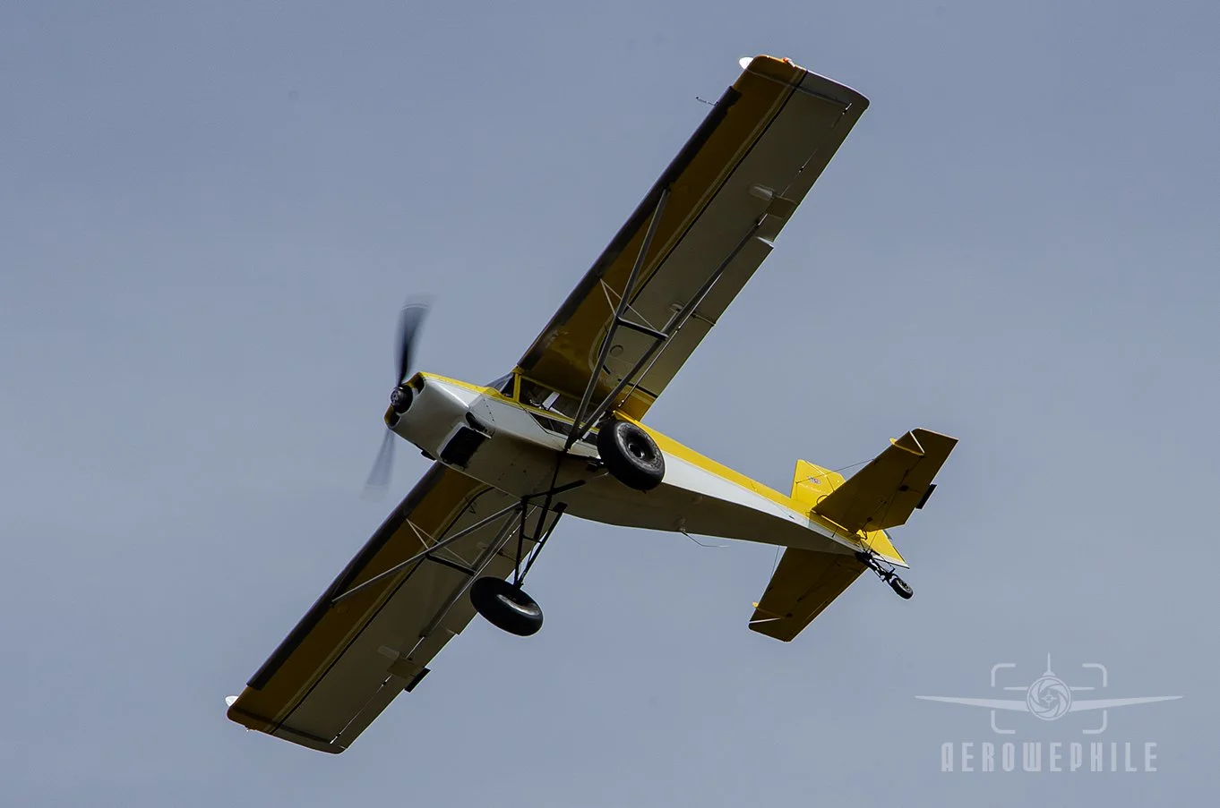 DSC_0006Z.jpg