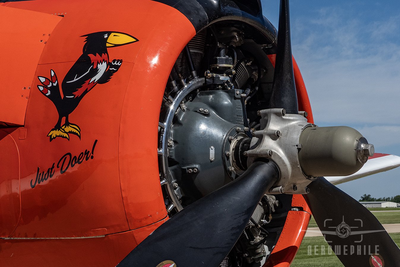 North American T-28B Trojan