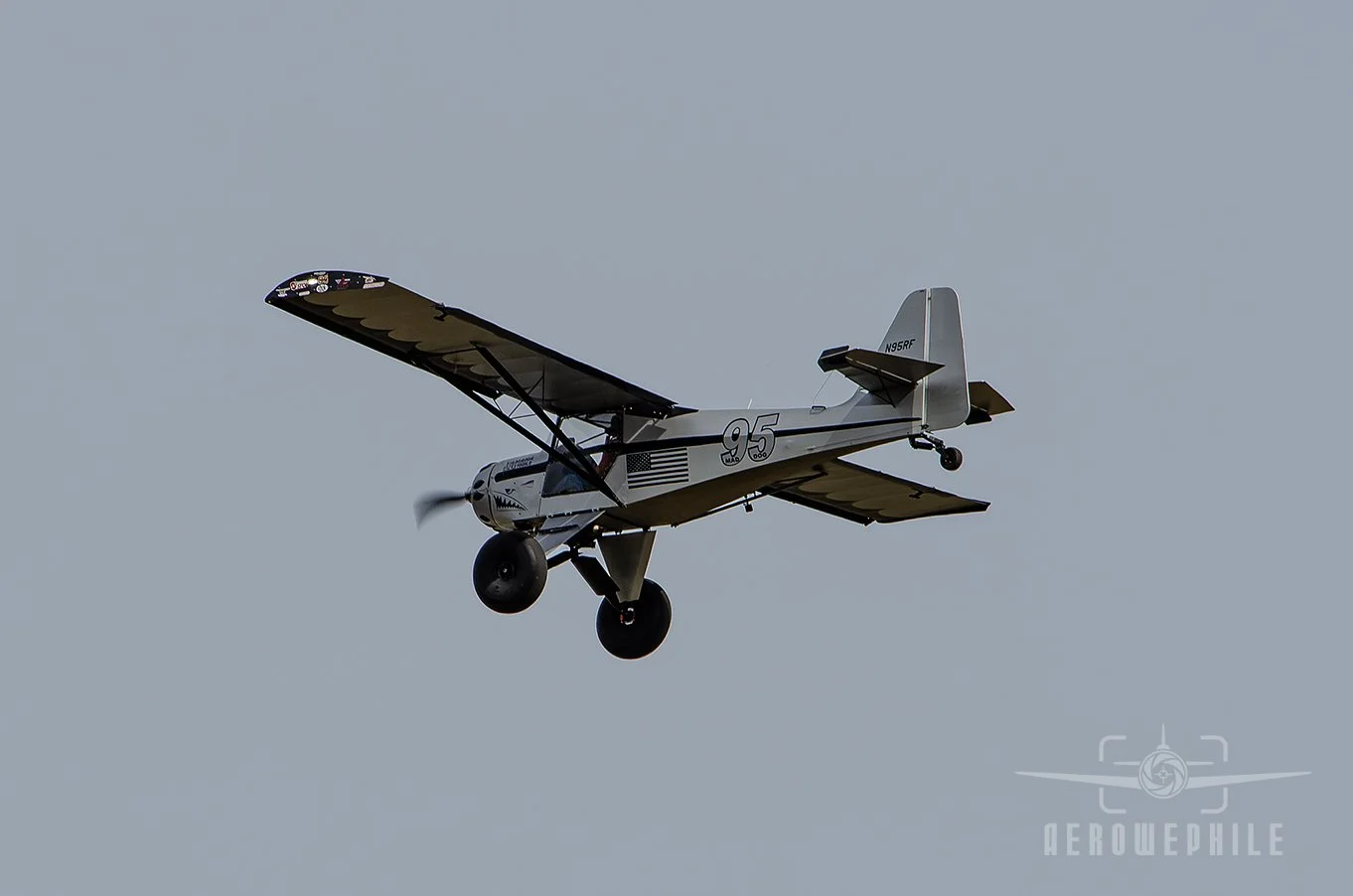 DSC_0089Z.jpg